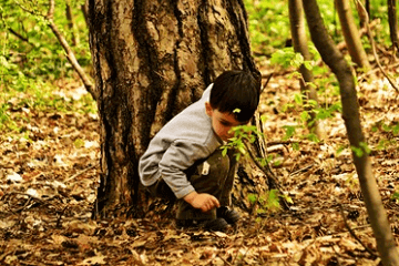 2024年龍年取名忌用字人生四喜