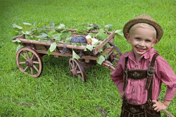 2024年免費起名官網大全