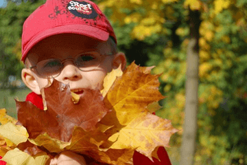2024年女性名表品牌排行榜